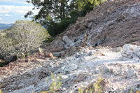 Steam emerges as the fire gradually progresses